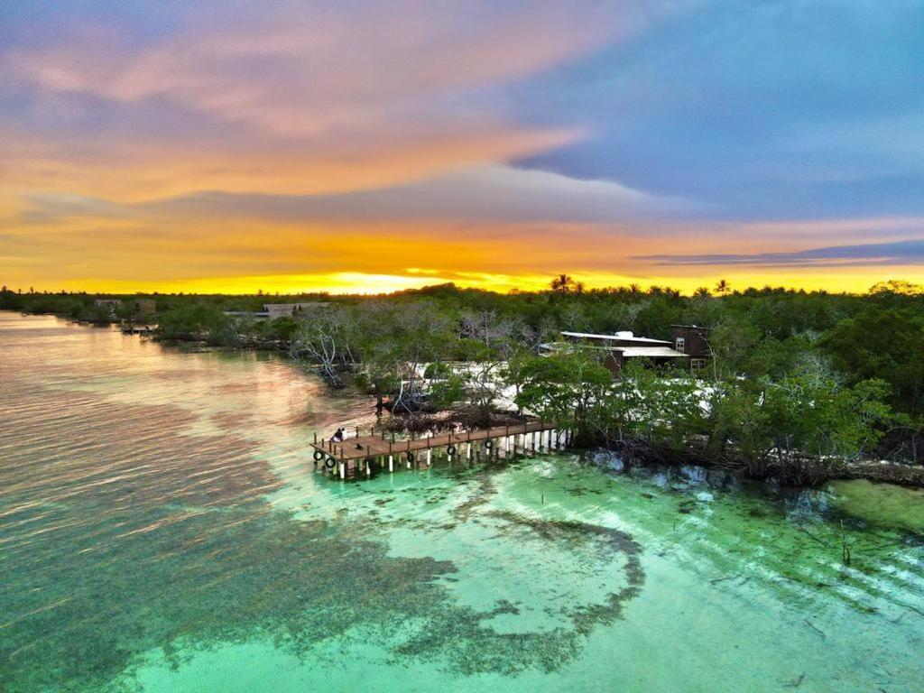 Medusa Hostel Isla Tintipan Tintipan Island Exteriör bild