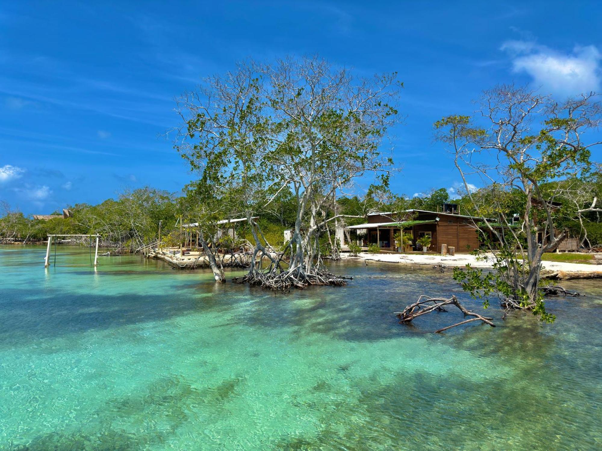 Medusa Hostel Isla Tintipan Tintipan Island Exteriör bild