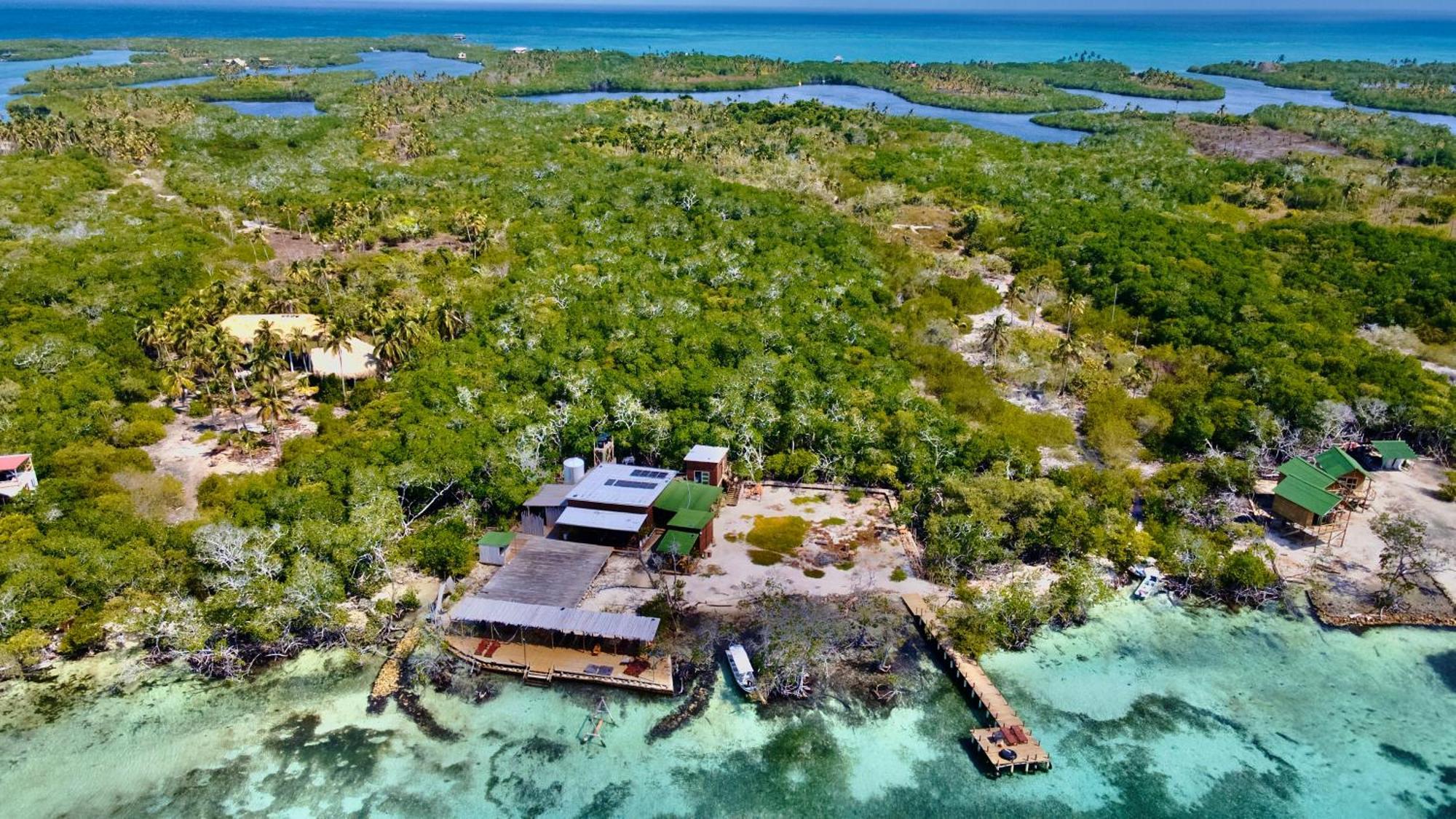 Medusa Hostel Isla Tintipan Tintipan Island Exteriör bild