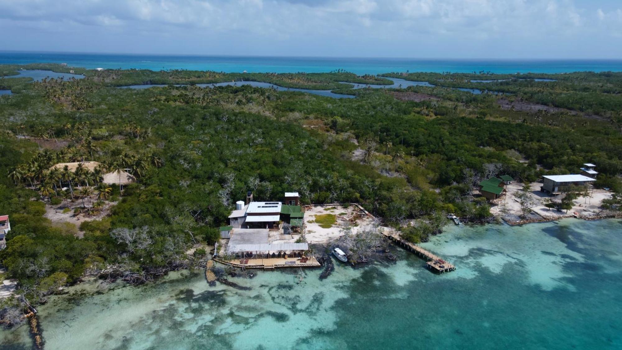 Medusa Hostel Isla Tintipan Tintipan Island Exteriör bild